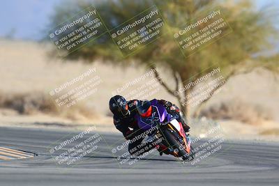 media/Jan-14-2024-SoCal Trackdays (Sun) [[2e55ec21a6]]/Turn 4 Tree of Life (155pm)/